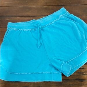 Aqua Blue Shorts